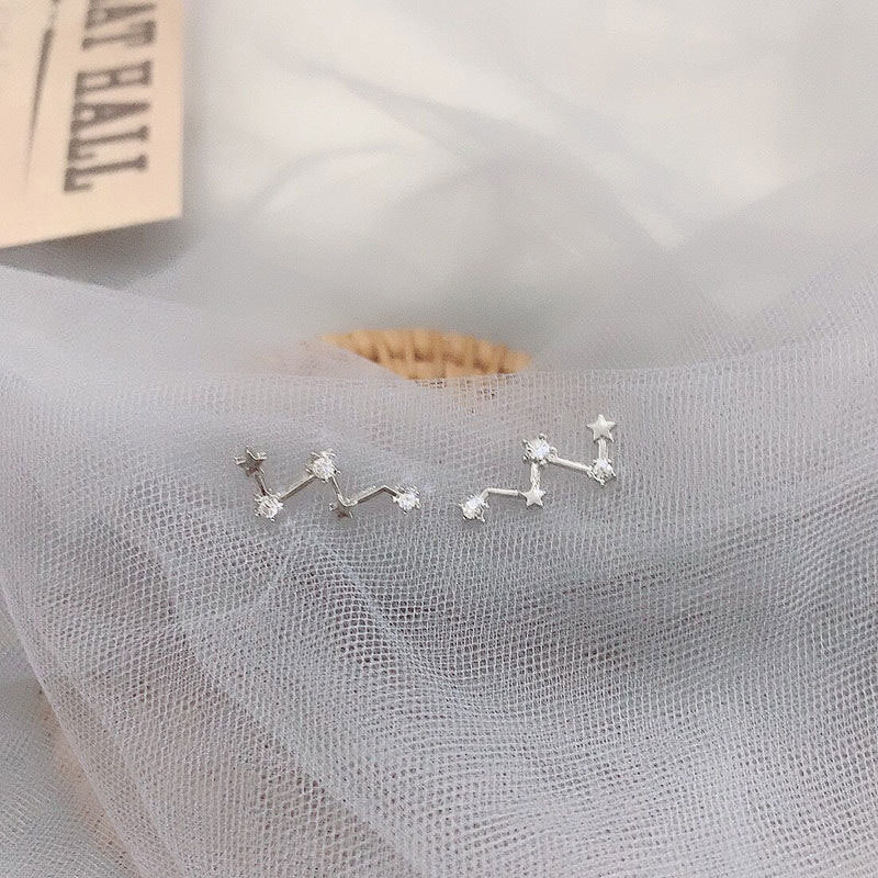 High-grade Light Luxury Design Sense Frosty Style Stud Earrings