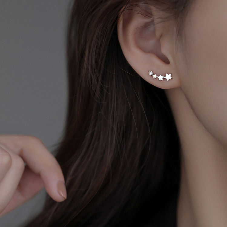 High-grade Light Luxury Design Sense Frosty Style Stud Earrings