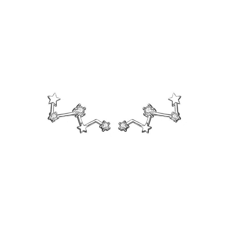 High-grade Light Luxury Design Sense Frosty Style Stud Earrings