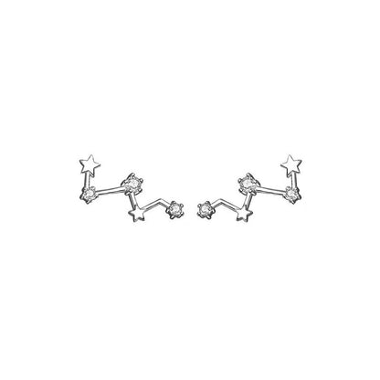 High-grade Light Luxury Design Sense Frosty Style Stud Earrings