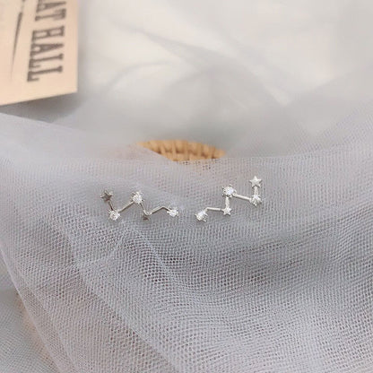 High-grade Light Luxury Design Sense Frosty Style Stud Earrings