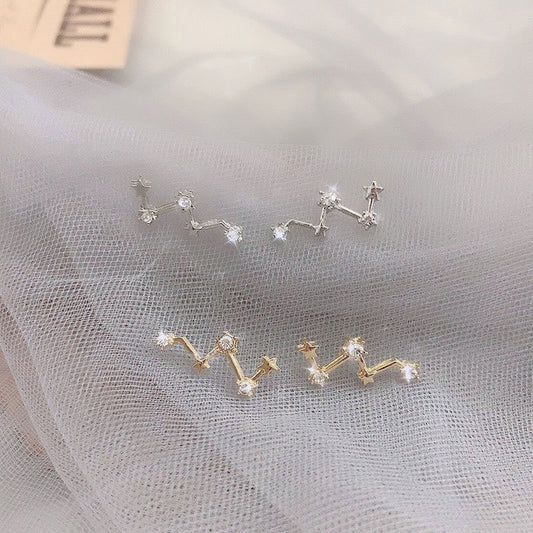 High-grade Light Luxury Design Sense Frosty Style Stud Earrings