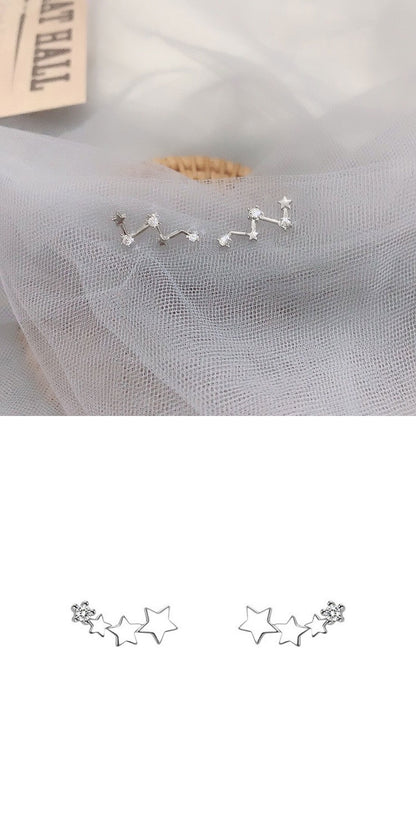High-grade Light Luxury Design Sense Frosty Style Stud Earrings